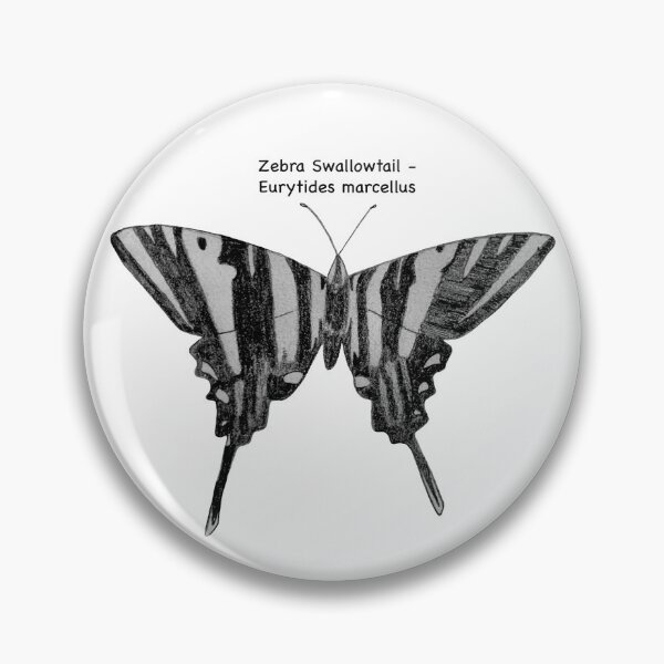 Item preview, Zebra Swallowtail - Eurytides marcellus designed and sold by scarpacific.