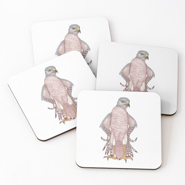Item preview, Brown Goshawk with an Attitude designed and sold by Hildegunn Hodne.