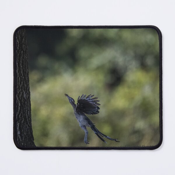 Item preview, Getting Ready to Feed designed and sold by Puttaswamy Ravishankar.