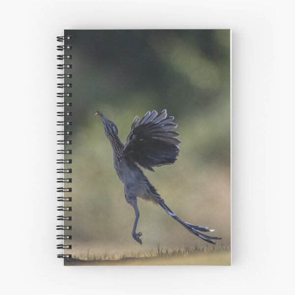 Item preview, Feeding time for Road runner designed and sold by Puttaswamy Ravishankar.