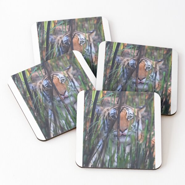 Item preview, Tiger in Jungle designed and sold by indbubble2020.