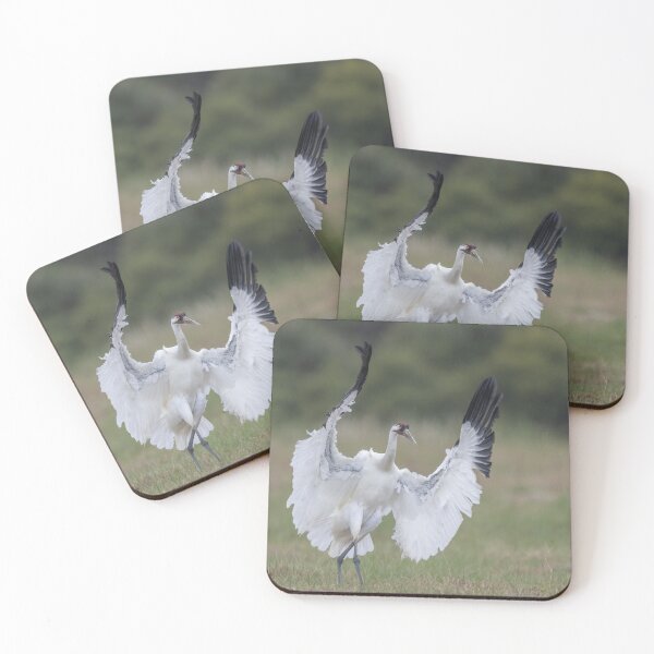 Item preview, Whooping crane in action designed and sold by Puttaswamy Ravishankar.