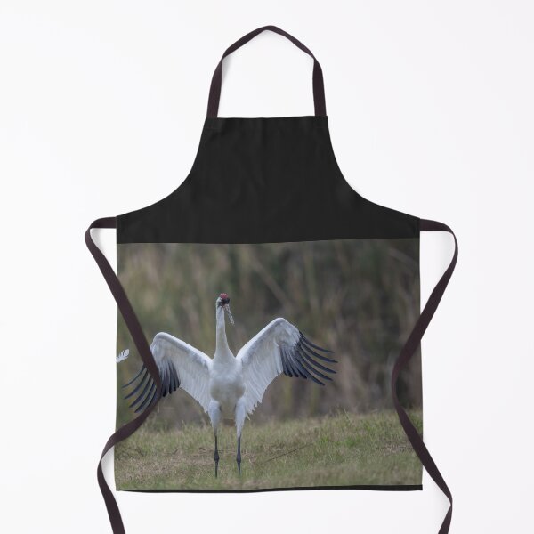 Item preview, Whooping crane feather designed and sold by Puttaswamy Ravishankar.
