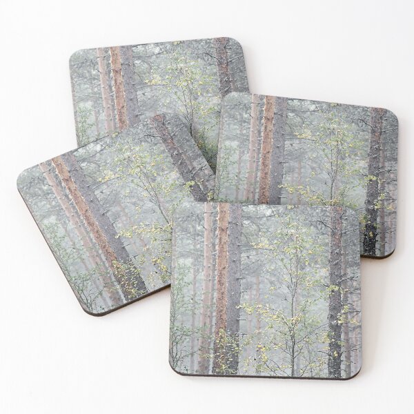 Item preview, 7.9.2024: Autumn Beginning designed and sold by Petri Volanen.