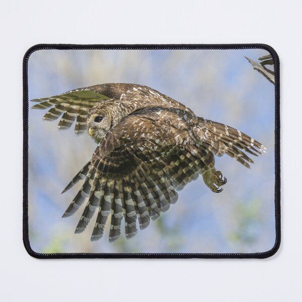 Item preview, Mama Barred owl Getting Out designed and sold by Puttaswamy Ravishankar.