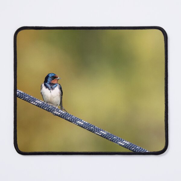 Item preview, Barn swallow on a rope designed and sold by ansaharju.