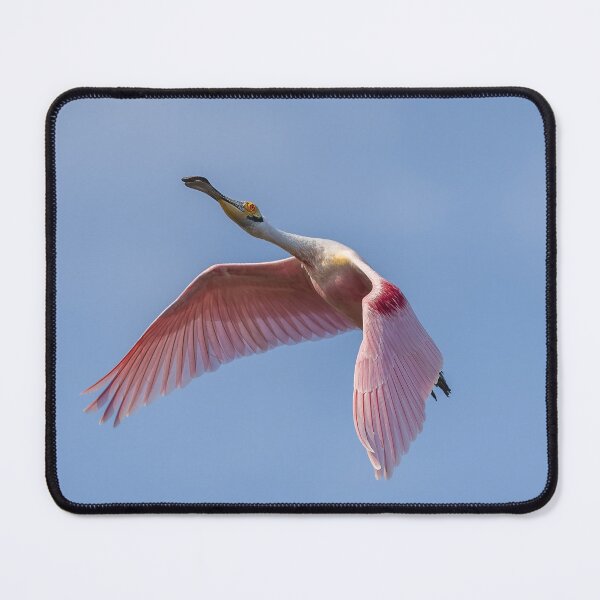 Item preview, Blue Sky Flight designed and sold by Puttaswamy Ravishankar.