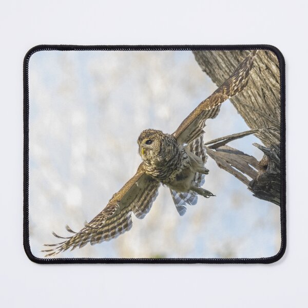 Item preview, Wings Wide Open designed and sold by Puttaswamy Ravishankar.