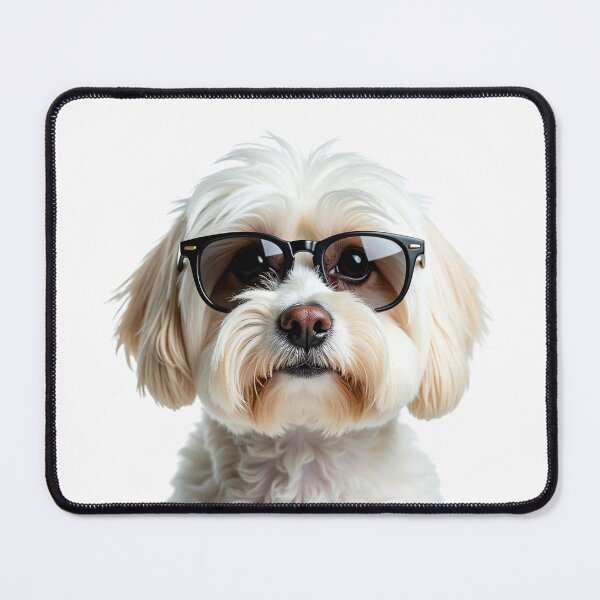 Item preview, Funny cool Maltese dog wearing sunglasses designed and sold by LazyOwlStore.