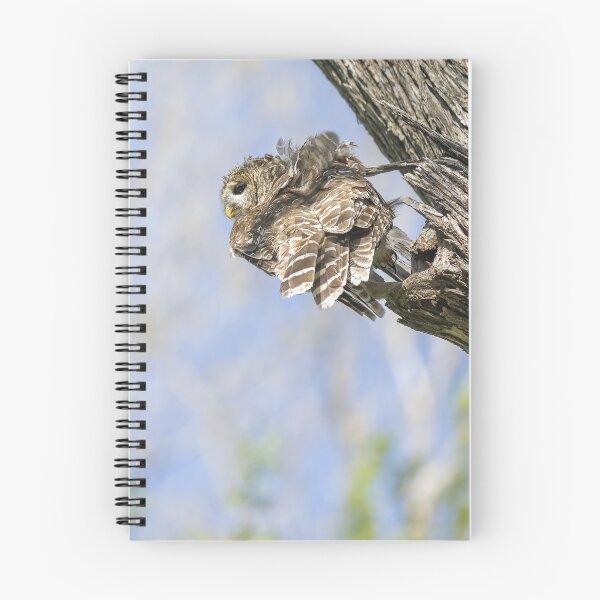 Item preview, Mama Barred Owl Getting Ready designed and sold by Puttaswamy Ravishankar.