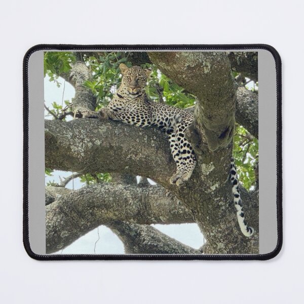 Item preview, Observation in Nature: Discovering Patterns designed and sold by annenambiro.