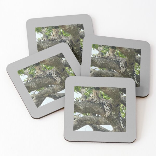 Item preview, Observation in Nature: Discovering Patterns designed and sold by annenambiro.