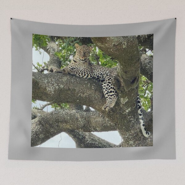 Item preview, Observation in Nature: Discovering Patterns designed and sold by annenambiro.