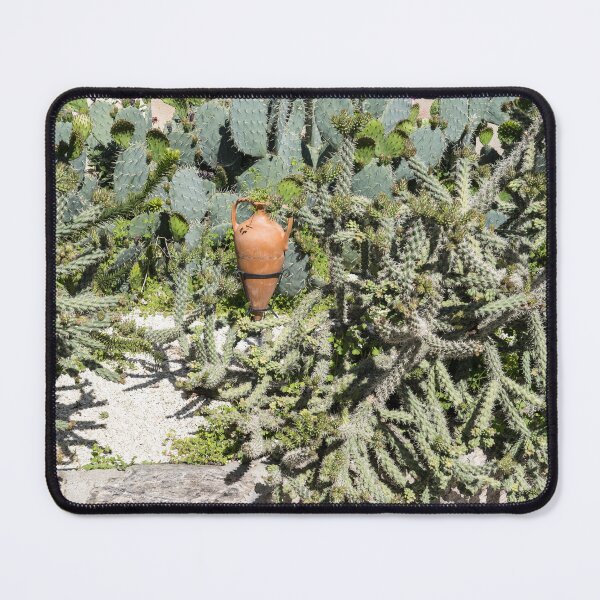 Item preview, Exuberant Desert Cactus Garden with a Terracotta Amphora Accent designed and sold by Georgia Mizuleva.