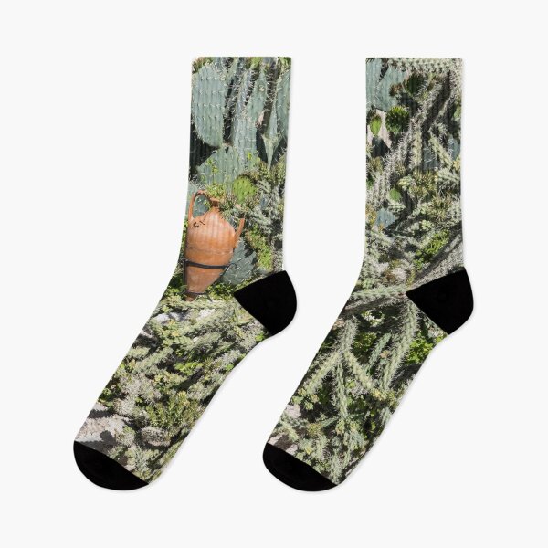 Item preview, Exuberant Desert Cactus Garden with a Terracotta Amphora Accent designed and sold by Georgia Mizuleva.