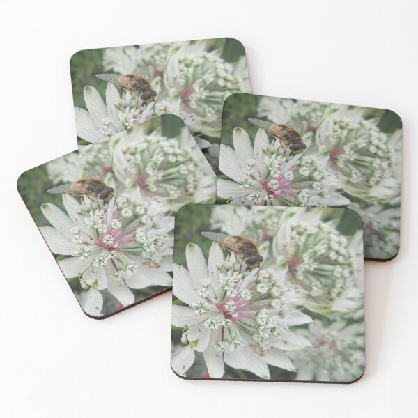 Item preview, Astrantia With Western Honey Bee  designed and sold by lezvee.