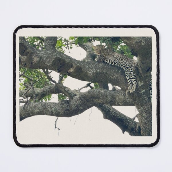 Item preview, Leopard’s Rest: The Power of Reflection designed and sold by annenambiro.