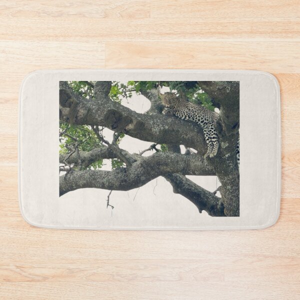 Item preview, Leopard’s Rest: The Power of Reflection designed and sold by annenambiro.