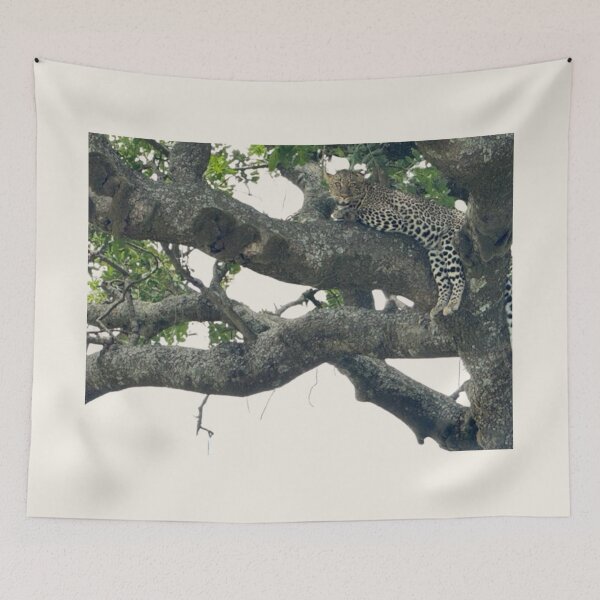 Item preview, Leopard’s Rest: The Power of Reflection designed and sold by annenambiro.