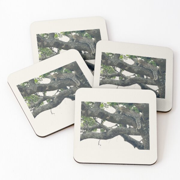 Item preview, Leopard’s Rest: The Power of Reflection designed and sold by annenambiro.