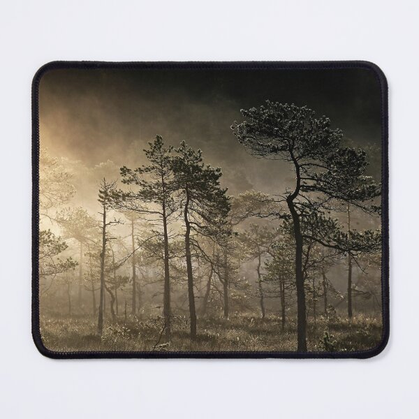 Item preview, 7.9.2024: Misty September Morning designed and sold by Petri Volanen.