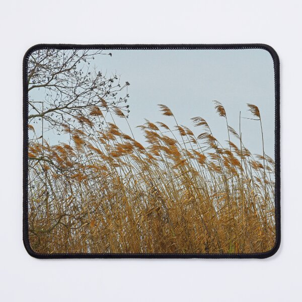 Item preview, Sea Foliage Blowing in the Wind designed and sold by bertsworks300.