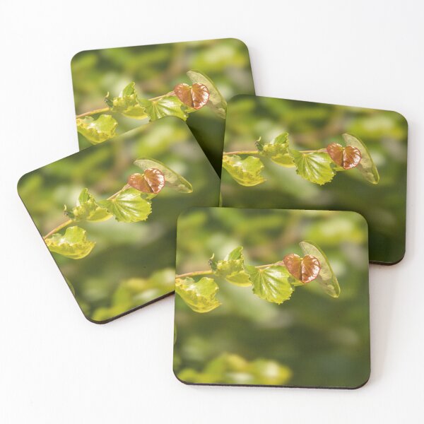 Item preview, New Growth Heart Shaped Leaf designed and sold by Debra Martz.