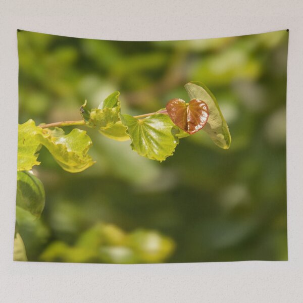 Item preview, New Growth Heart Shaped Leaf designed and sold by Debra Martz.