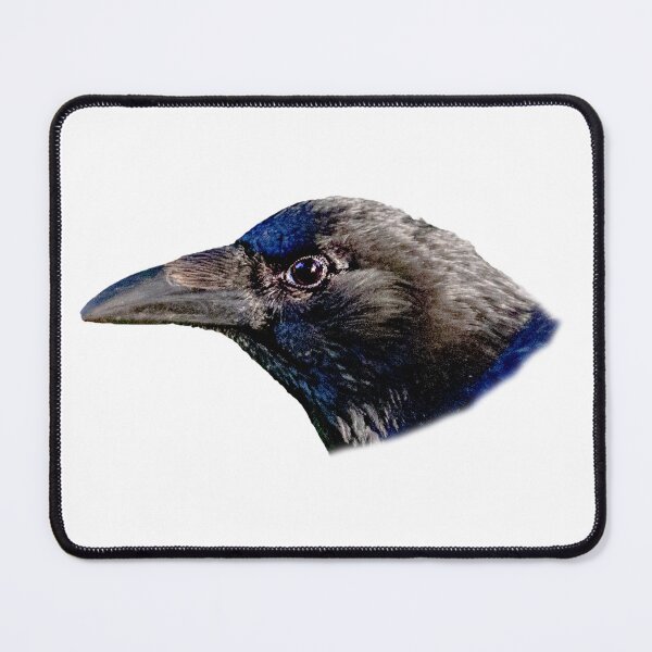 Item preview, Carrion Crow designed and sold by Dalyndigital Photography.