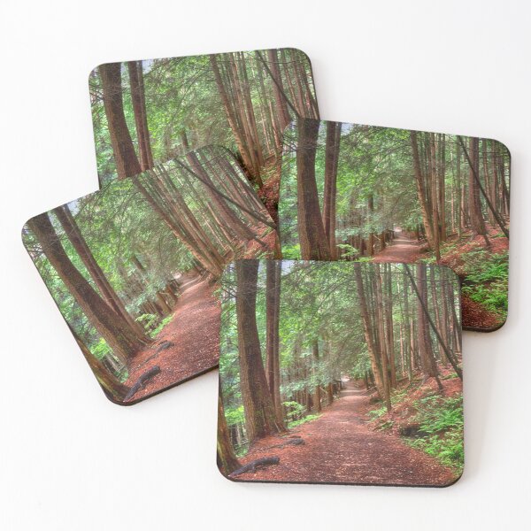 Item preview, Hiking Trail in Cooks Forest designed and sold by Kathy Weaver.