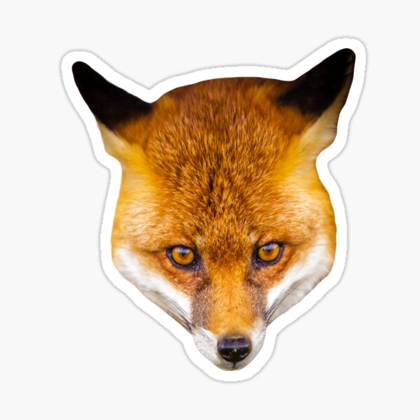 Item preview, European Red Fox designed and sold by OwlOccasions.