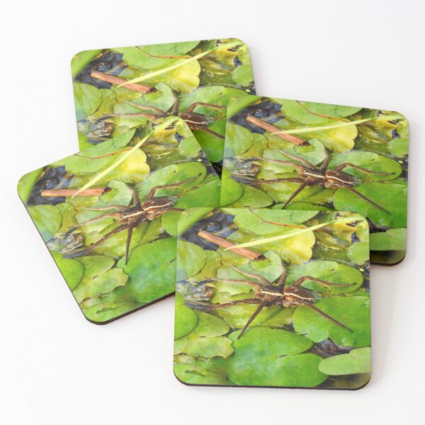 Item preview, Fen Raft Spider on lily pads. Norfolk. UK's biggest and rarest spider. designed and sold by CatherineMoore4.
