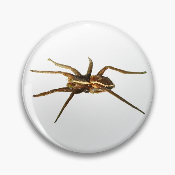Item preview, Raft Spider designed and sold by CatherineMoore4.