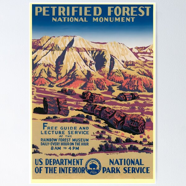 Item preview, Petrified Forest - National Monument designed and sold by retrochoose.