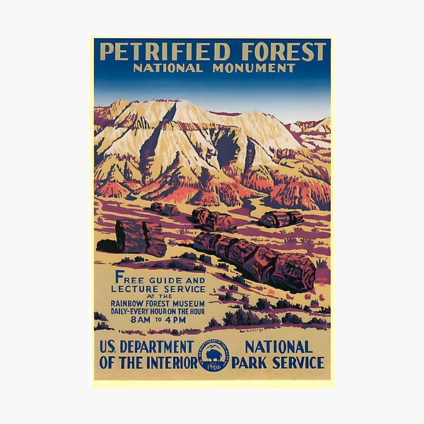 Item preview, Bosque Petrificado - Monumento Nacional designed and sold by retrochoose.