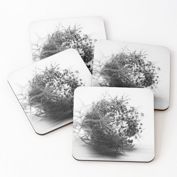 Item preview, Wild carrot designed and sold by DerLaden.Art.