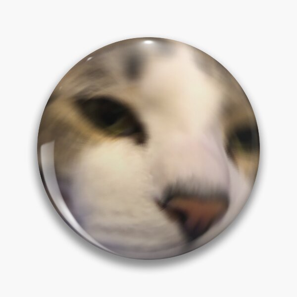 Item preview, cat meme designed and sold by BashPIXIE.