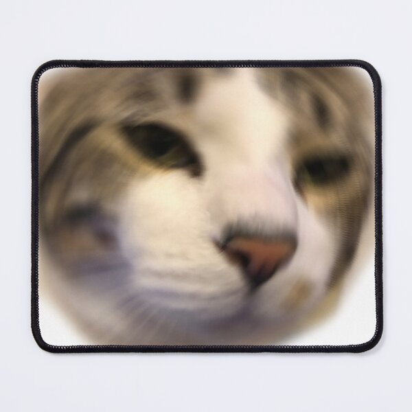Item preview, cat meme designed and sold by BashPIXIE.