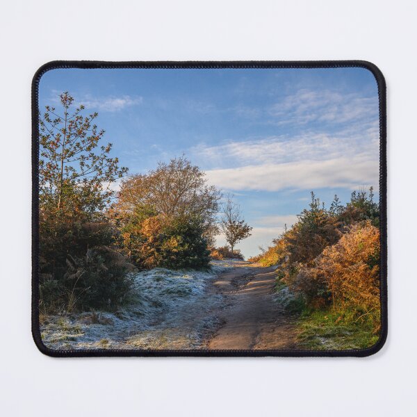 Item preview, Sutton Park designed and sold by James Stokes.