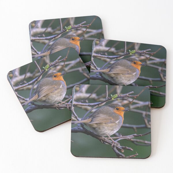 Item preview, Robin designed and sold by James Stokes.