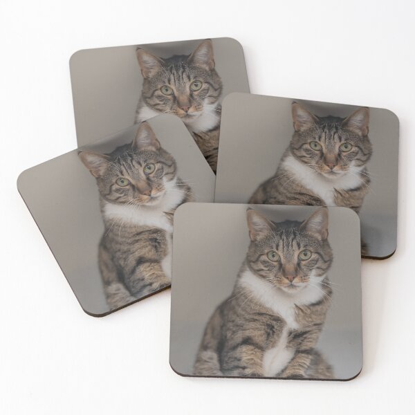 Item preview, Lindo gato atigrado gris designed and sold by claudiacontena.