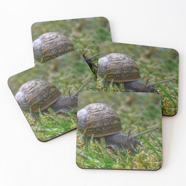 Item preview, Snail designed and sold by James Stokes.