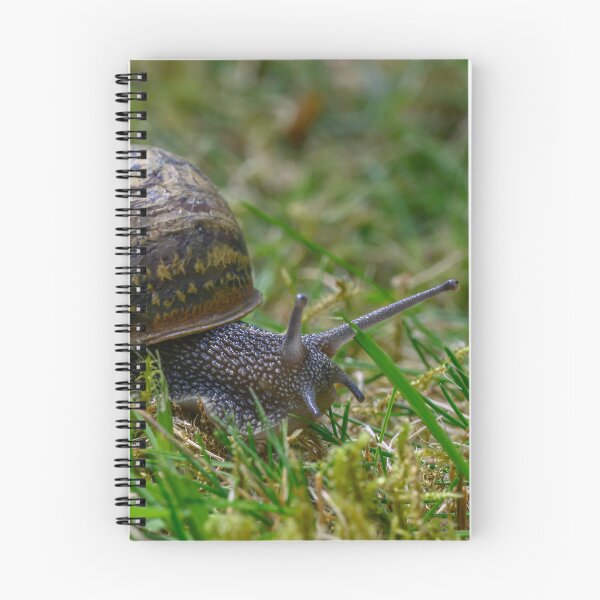 Item preview, Snail designed and sold by James Stokes.