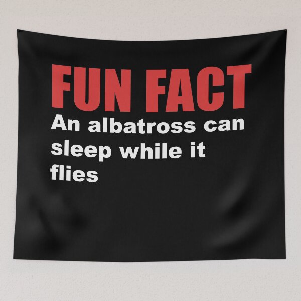 Item preview, fun fact albatros sleep designed and sold by Dagrell.