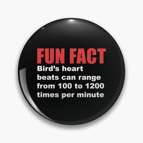 Item preview, fun fact bird's heart beats designed and sold by Dagrell.