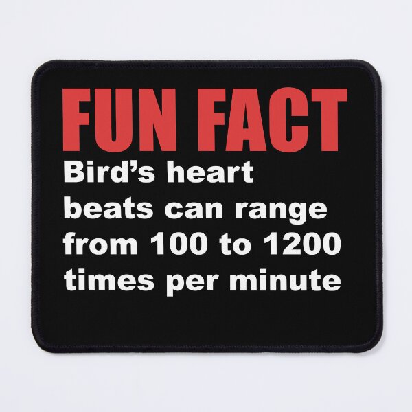 Item preview, fun fact bird's heart beats designed and sold by Dagrell.