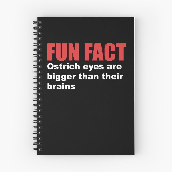 Item preview, fun fact ostrich brain designed and sold by Dagrell.