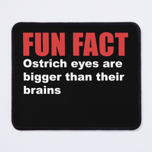 Item preview, fun fact ostrich brain designed and sold by Dagrell.