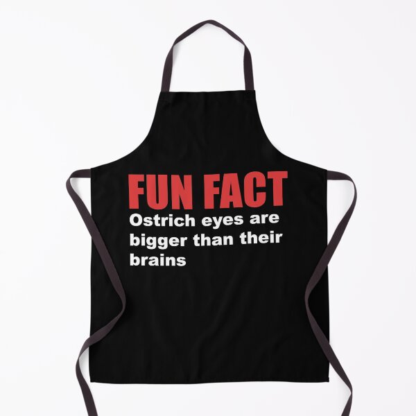 Item preview, fun fact ostrich brain designed and sold by Dagrell.