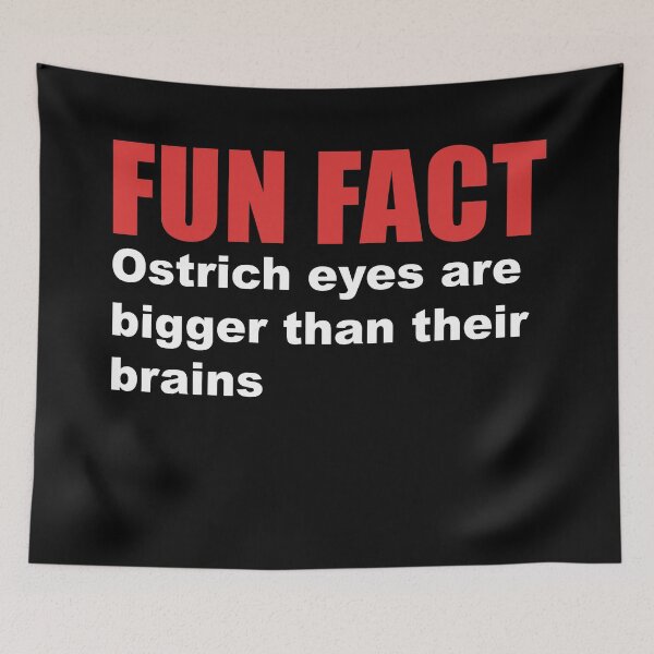 Item preview, fun fact ostrich brain designed and sold by Dagrell.